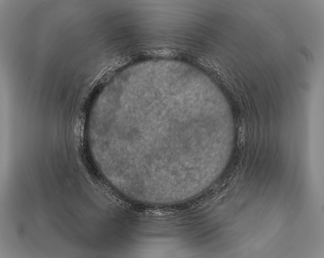 X0000112020739200909141035