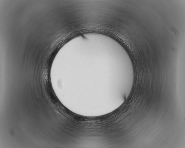 X0000112020740200909141035