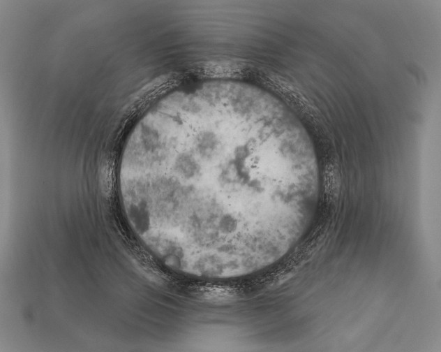 X0000112020741200909141035