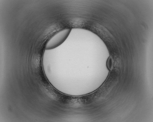 X0000112020744200909141035