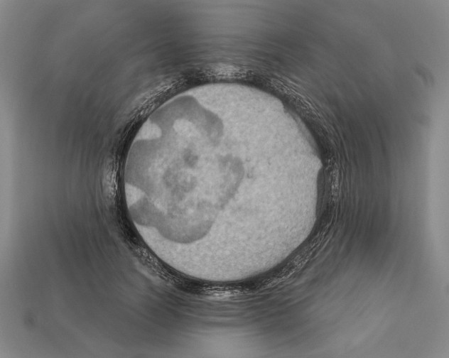 X0000112020746200909141035