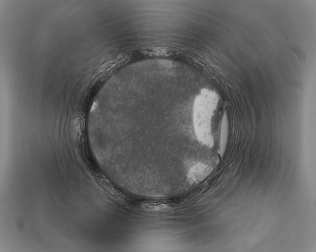 X0000112020747200909141035