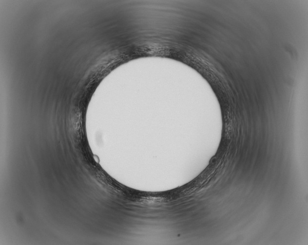 X0000112020748200909141035