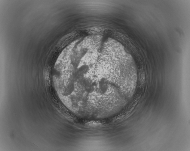 X0000112020749200909141035