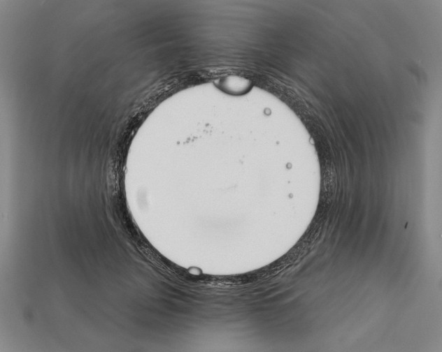 X0000112020751200909141035