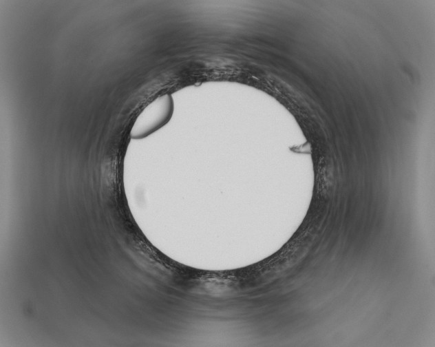 X0000112020756200909141036