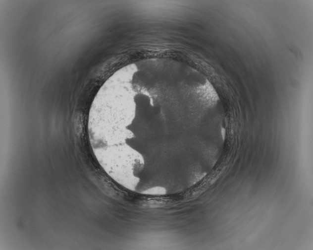 X0000112020758200909141036