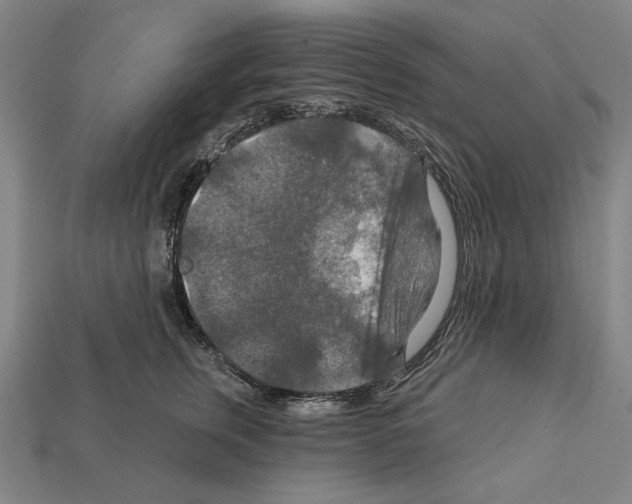 X0000112020759200909141036