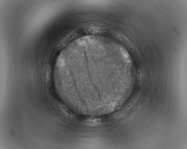 X0000112020760200909141036