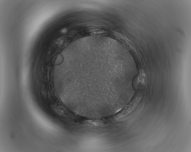 X0000112020763200909141036