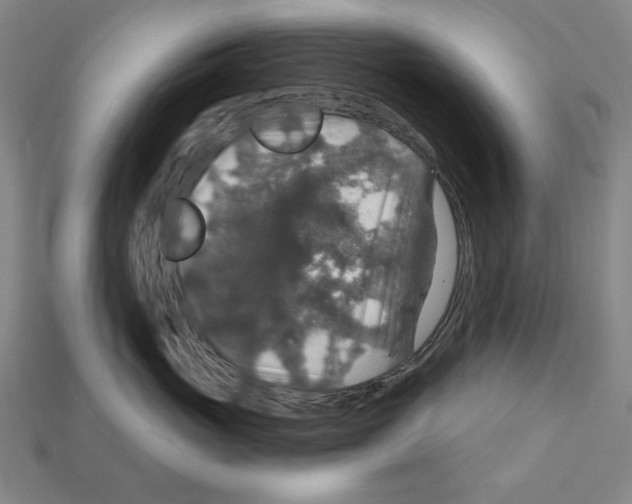 X0000112020765200909141036