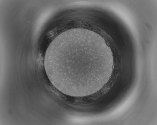 X0000112020766200909141036