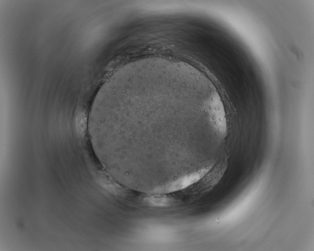 X0000112020767200909141036