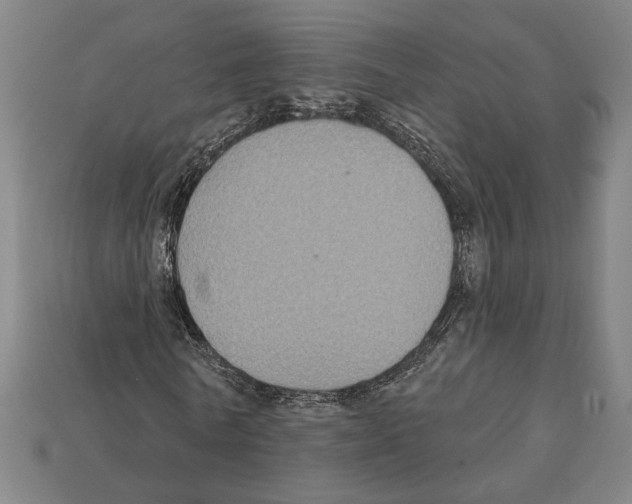 X0000112020770200909141035