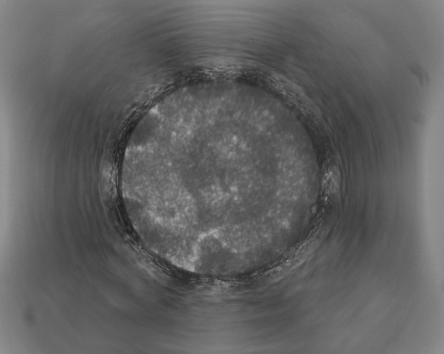 X0000112020772200909141035