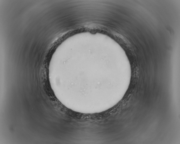 X0000112020776200909141035