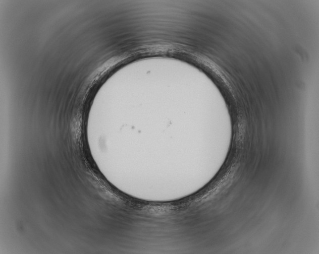 X0000112020778200909141035