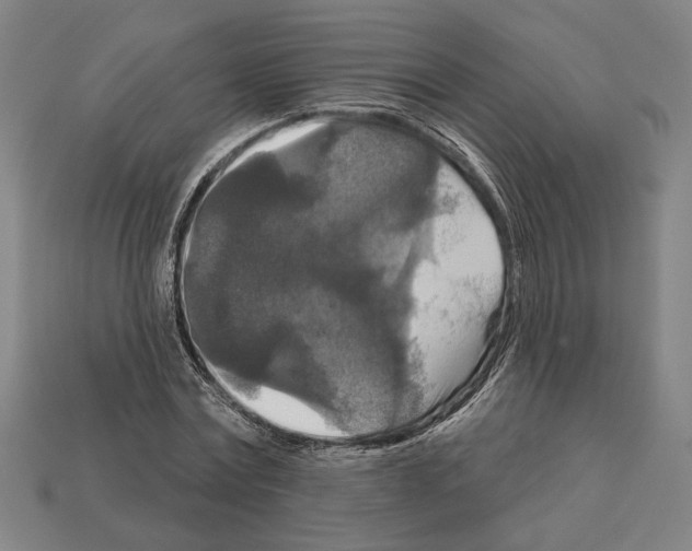 X0000112020779200909141035