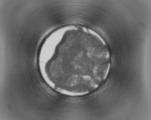 X0000112020780200909141035