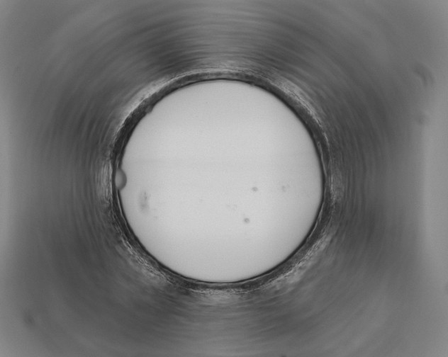 X0000112020781200909141035