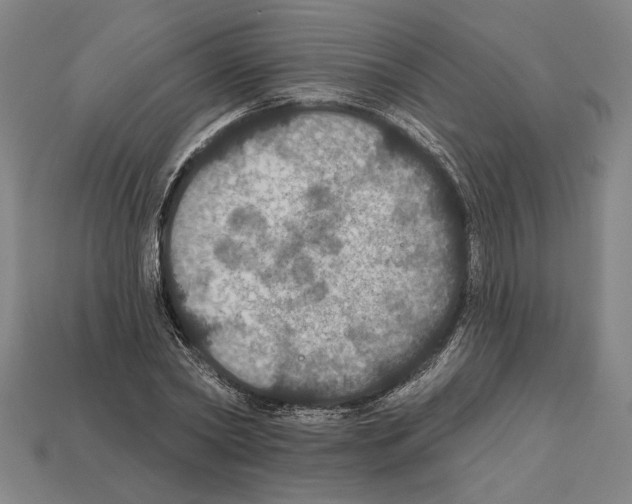 X0000112020782200909141035