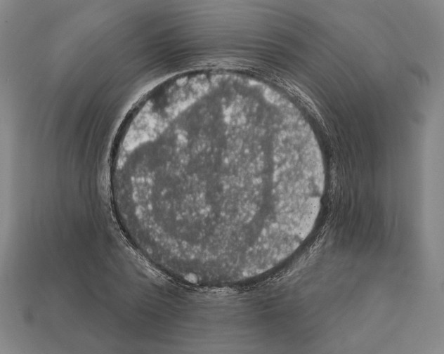 X0000112020784200909141035