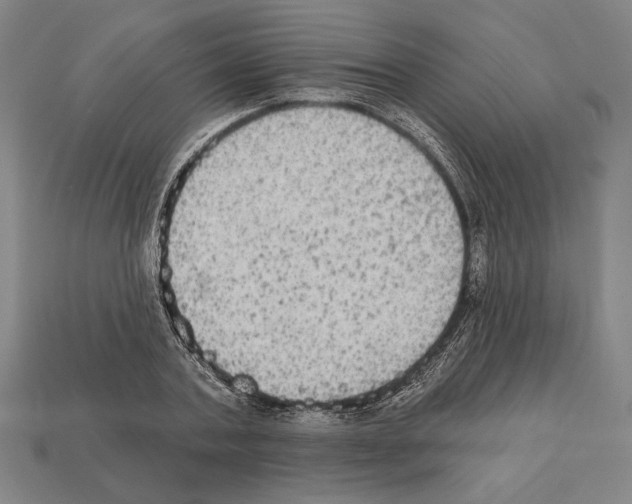 X0000112020787200909141035