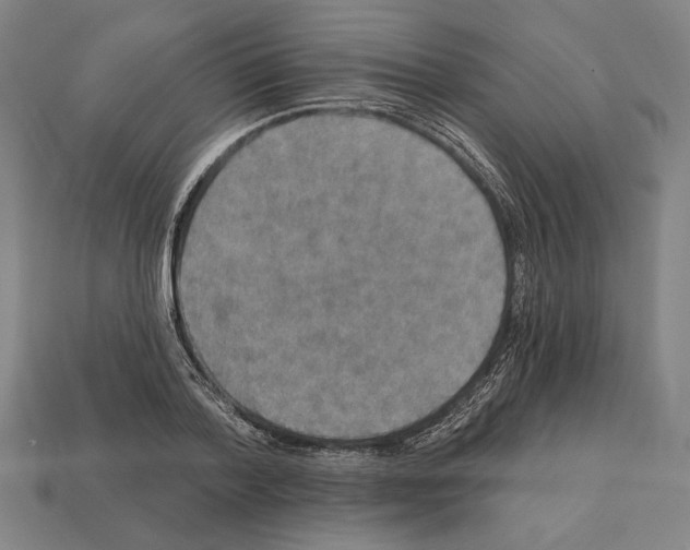 X0000112020788200909141035