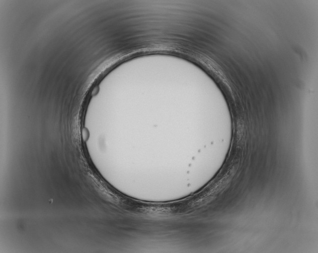 X0000112020789200909141035