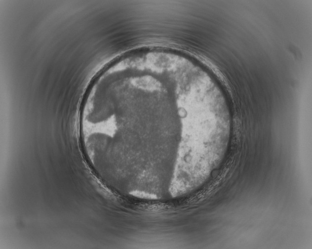 X0000112020791200909141035