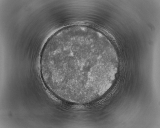 X0000112020792200909141035