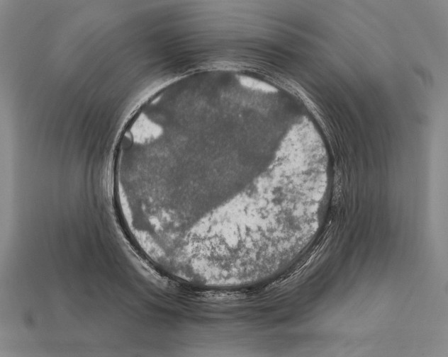 X0000112020795200909141035