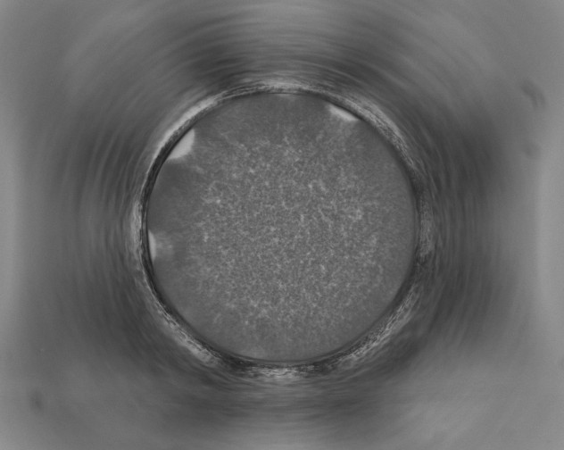 X0000112020798200909141035