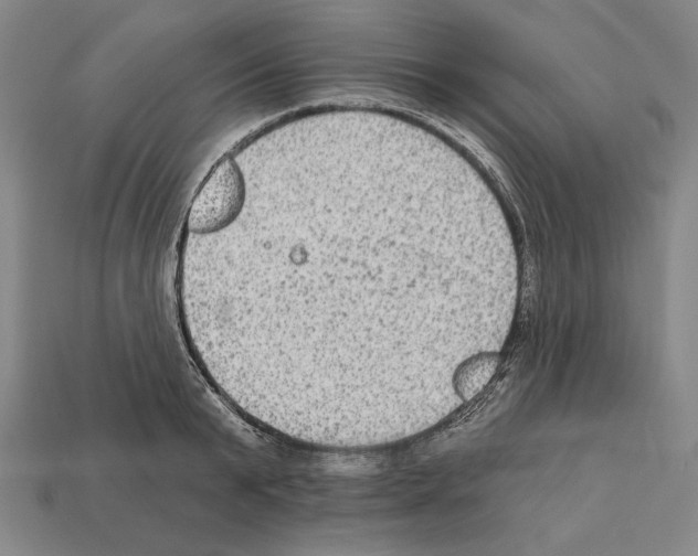 X0000112020799200909141035