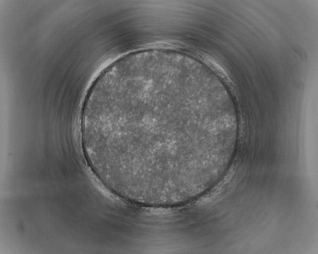 X0000112020800200909141035