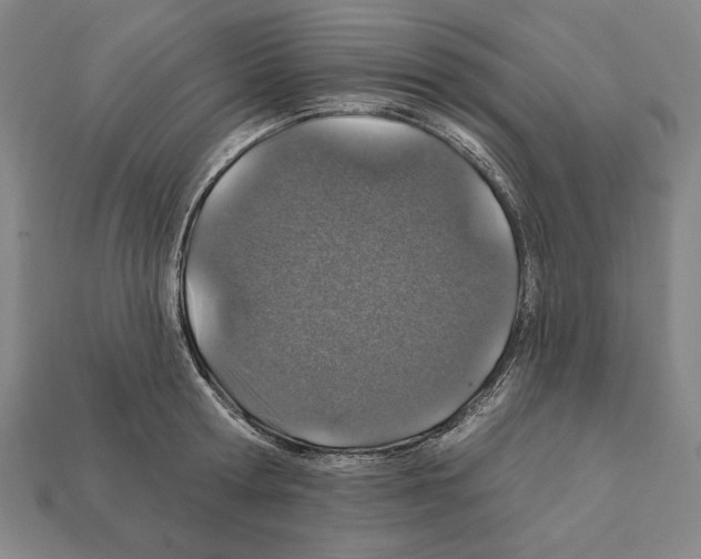 X0000112020802200909141035