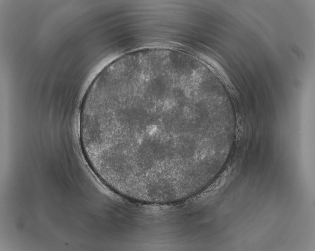 X0000112020804200909141035