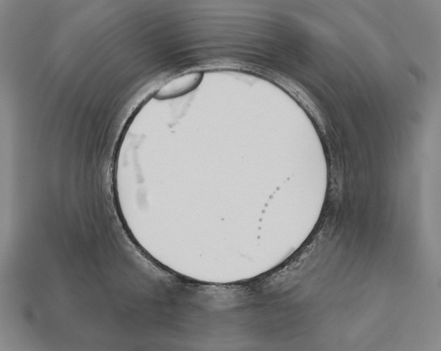 X0000112020805200909141035