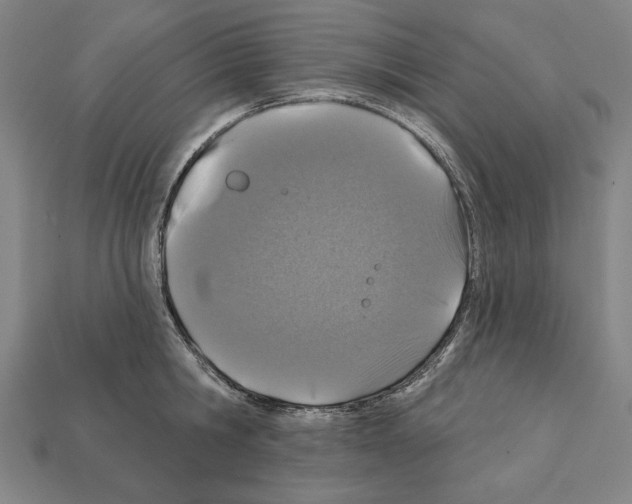 X0000112020806200909141035