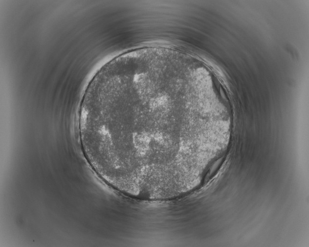 X0000112020808200909141034