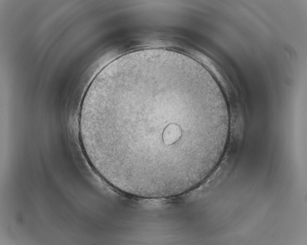 X0000112020810200909141034