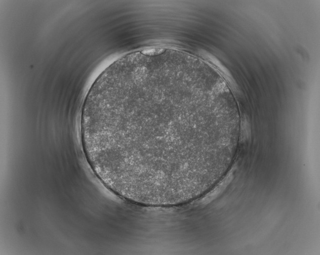 X0000112020812200909141034