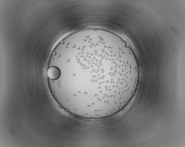 X0000112020814200909141034