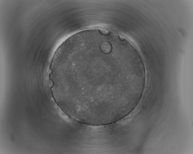 X0000112020816200909141034