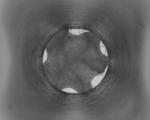 X0000112020817200909141034