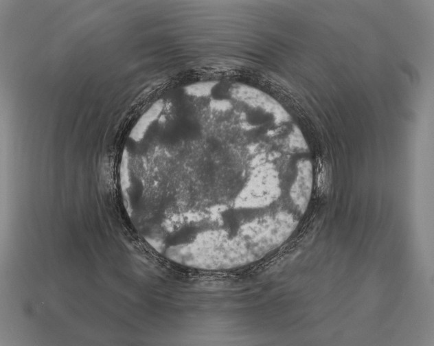 X0000112020819200909141034