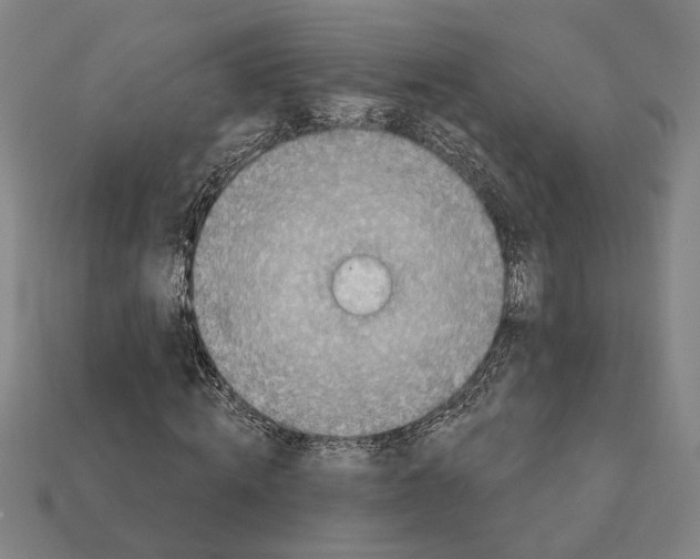 X0000112020820200909141034