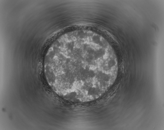 X0000112020821200909141034