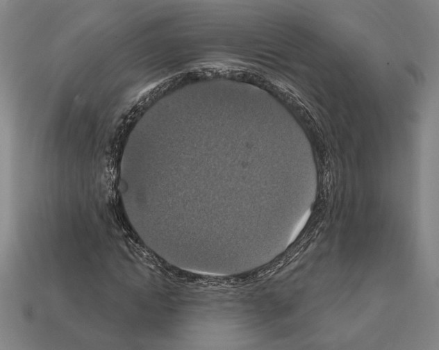 X0000112020822200909141034