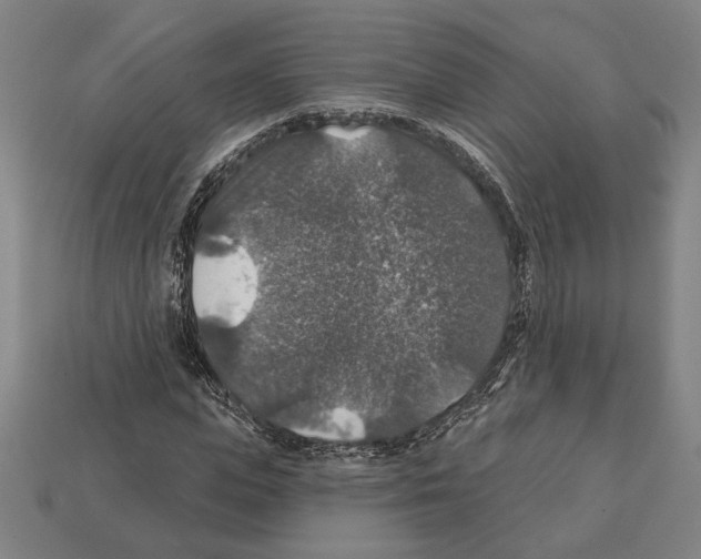 X0000112020823200909141034